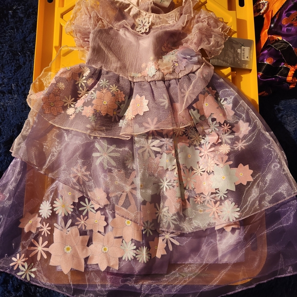 Disney Roselinda Encanto - Picture 2 of 3